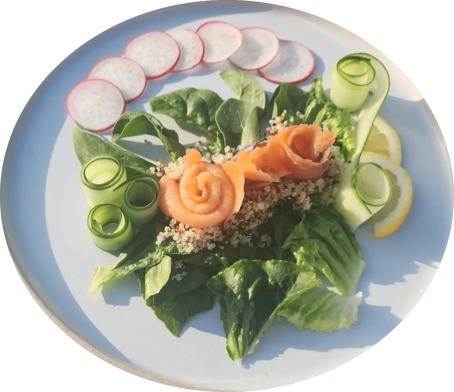 The G Beach Club - Food Menu - Salmon Steak